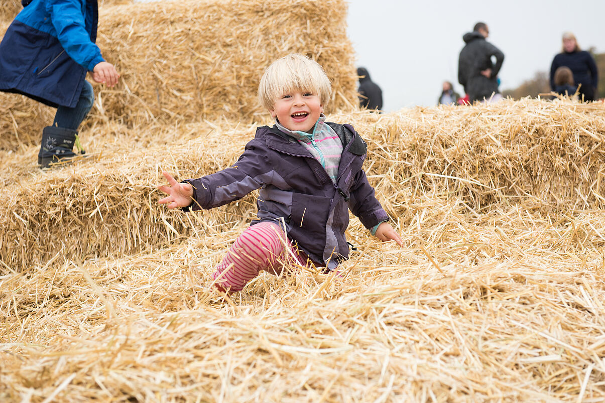 (c) WIENXTRABarbara Mair