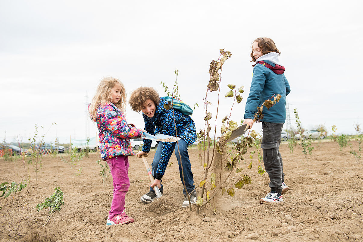 (c) WIENXTRABarbara Mair