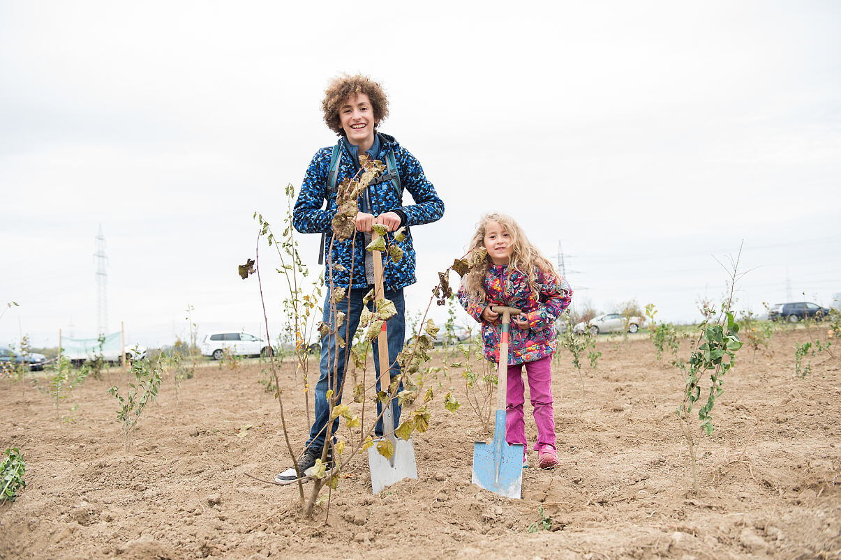 (c) WIENXTRABarbara Mair